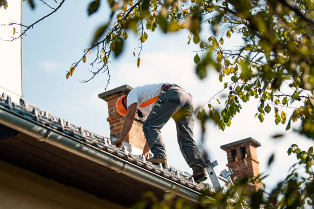 Best Slate Roofing Contractor  in Louisville, GA