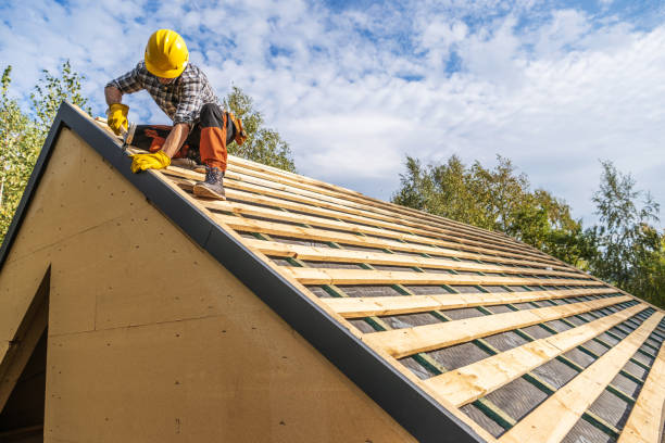 Best New Roof Installation  in Louisville, GA