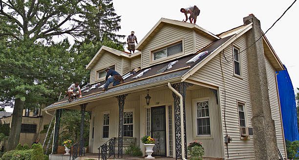 Best Roof Restoration Services  in Louisville, GA