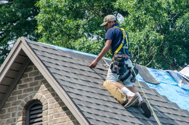 Best Roof Repair Services  in Louisville, GA